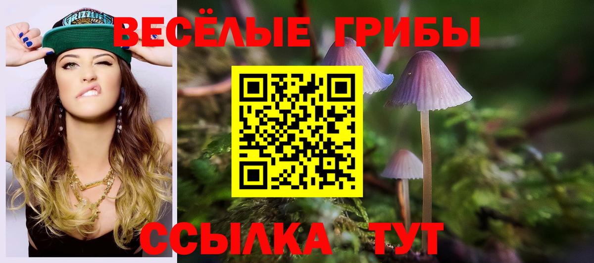 Псилоцибиновые грибы GOLDEN TEACHER  Вход с VPN  Галлюциногенные грибы мицелий  Лабинск 