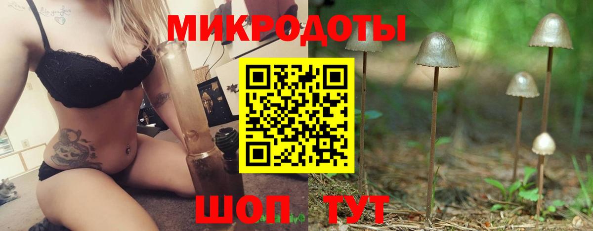 Псилоцибиновые грибы мицелий Лабинск